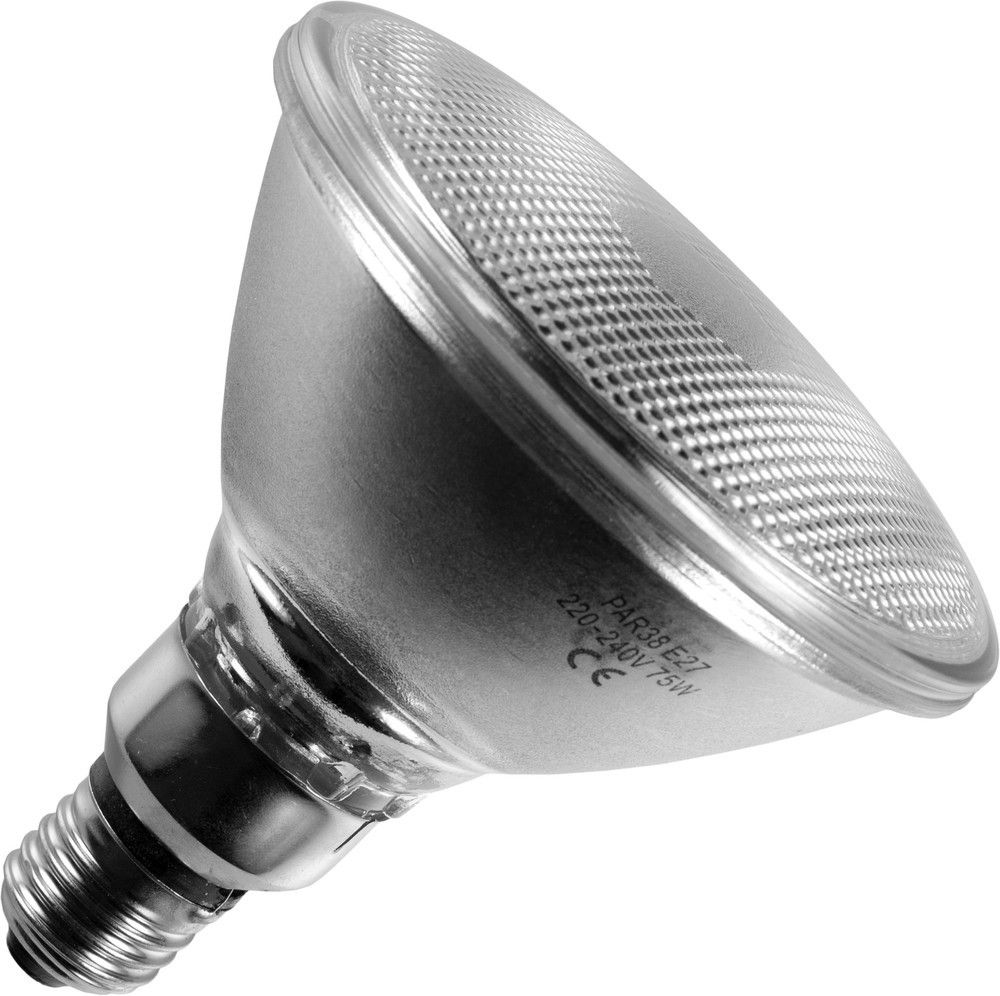 Ampoule à Incandescence Réflecteur | PAR38 Flood E27 | 75W Dépolie