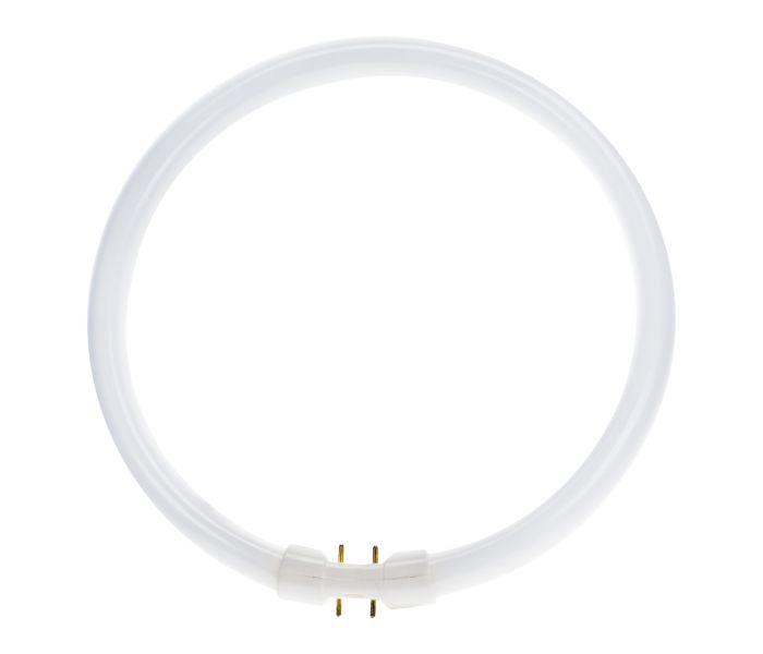  Philips - Tube tl Circulaire âŒ€29,3cm Blanc Froid 2GX13 55W - Blanc