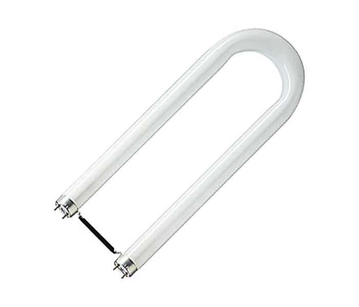 SPL | Tube fluorescent | 2G13 | T8 | 60cm