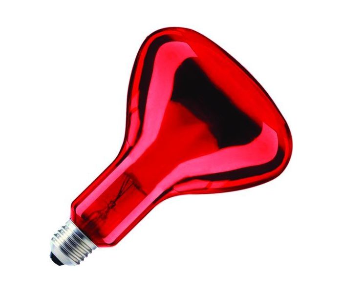 SPL | Lampe infrarouge Ampoule R/lampe à réflecteur | E27 | 100W