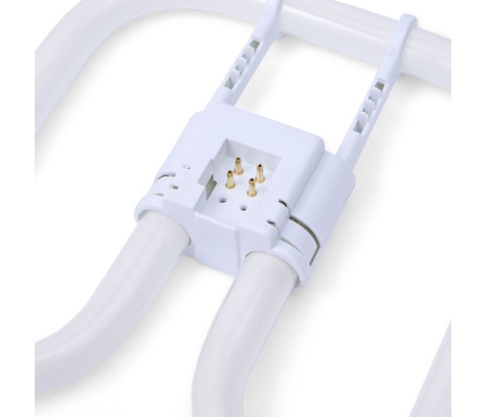 Ampoule fluocompacte Biax 2D | Blanc Froid | 4 broches | 4000K | 38W