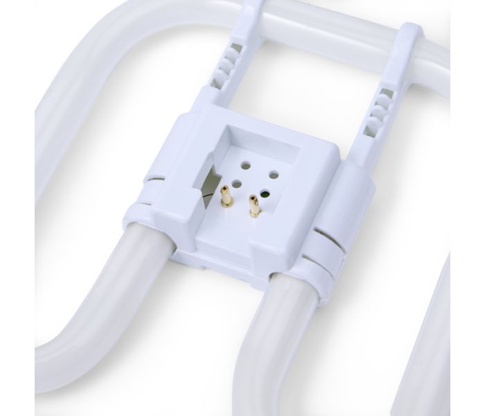 2D | 16W | Raccord GR8 | 830 Blanc chaud | 2-pins