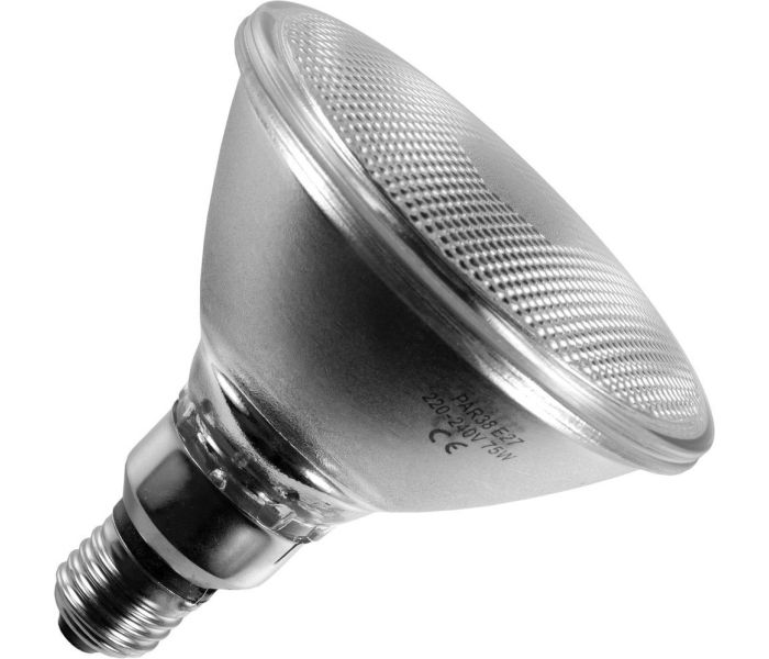 Ampoule à Incandescence Réflecteur | PAR38 Flood E27 | 75W Dépolie