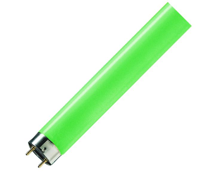 PHILIPS | Tube Fluorescent G13 | 58W