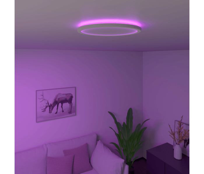 Calex | Smart Halo Ceiling Light | Ø292mm | 22W | IP54 | 15000hrs