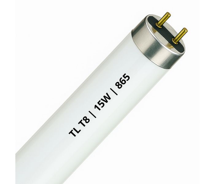 Fluorescent T8 | 15W | Raccord G13 | 865 Lumière du jour | 45cm