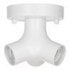 Bailey | Plafonnier /Applique murale | LED interchangeable | 60W Sans fonction de réglage Bailey | Plafonnier /Applique murale | LED interchangeable | 60W Sans fonction de réglage