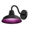 Calex | Applique LED classique pour l'extérieur | 4W Ø 250mm | Smart