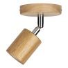 Bailey | Plafonnier /Applique murale | LED interchangeable | 60W Sans fonction de réglage
