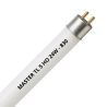 MASTER TL5 HO 24W - 830 Warm White | 55cm MASTER TL5 HO 24W - 830 Warm White | 55cm