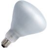 SPL | halogène Ampoule R/lampe à réflecteur | E27 | 105W