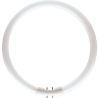 PHILIPS | Round TL 2GX13 | 23W
