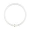  SPL | Tube fluorescent rond | FL Circline T5 | 55W | 2Gx13 | 4 broches | Ø300mm | 4000K Blanc froid