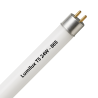 Lumilux T5 FQ HO 24W - 865 Daglicht | 55cm