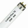 Luxline Plus T8 25W - 840 Blanc chaud | 75cm