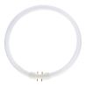 MASTER TL5C Circulaire 22W - 830 Blanc Chaud | 23cm