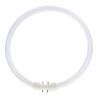 T5 Circline | 55W | 2GX13 | 4 broches | Ø300mm | 840 Blanc froid T5 Circline | 55W | 2GX13 | 4 broches | Ø300mm | 840 Blanc froid