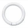 T9 Circline | 30W | G10Q | 830 Blanc chaud