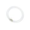 T9 Circline | 22W | G10Q | 830 Blanc chaud