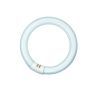 T9 Circline | 32W | G10Q | 830 Blanc chaud