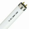 Fluorescent T8 | 36W | Raccord G13 | 830 Blanc Chaud | 120cm Fluorescent T8 | 36W | Raccord G13 | 830 Blanc Chaud | 120cm