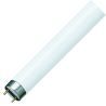 Philips MASTER TL - D Super 80 18W - 830 Blanc chaud | 60cm