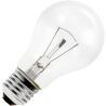 Ampoule à Incandescence | E27 | 75W Clair Ampoule à Incandescence | E27 | 75W Clair