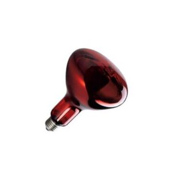 Sylvanie | Ampoule Lampe à réflecteur IR | Grand raccord E27 | 250W 125mm Rouge