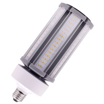 Bailey | LED Ampoule de tube | E27  | 45W 