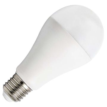 Bailey | LED Ampoule | E27  | 20W