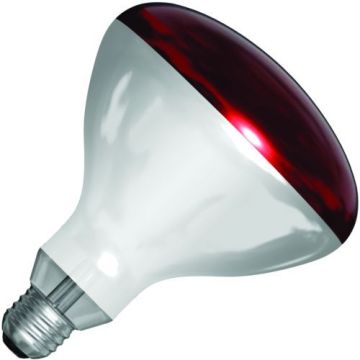 SPL |  Lampe infrarouge Ampoule R/lampe à réflecteur | E27 | 150W