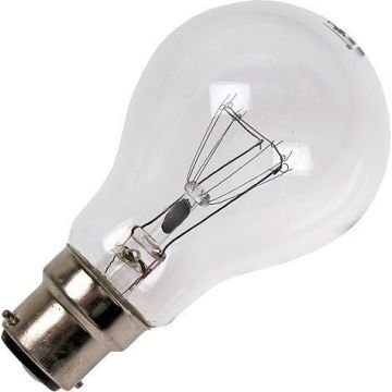 SPL | Ampoule à Incandescence 130V | B22d | 60W Clair