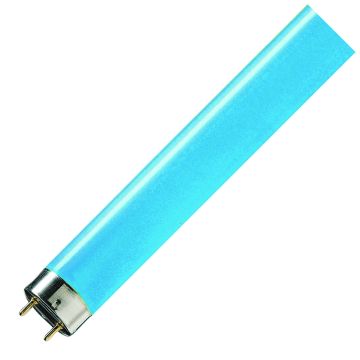 PHILIPS | Tube fluorescent T8 | 36W | 865 Lumière du jour | 120cm