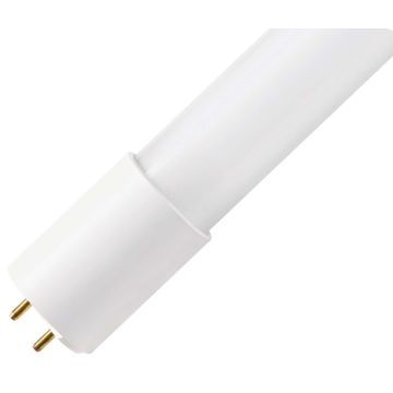 Bailey | LED Ampoule de tube | G13 | 8W