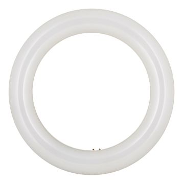Bailey | LED Tubes Ronds | G10q | 11W