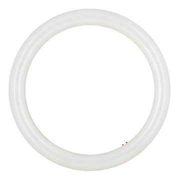 Bailey | LED Tubes Ronds | G10q | 16W