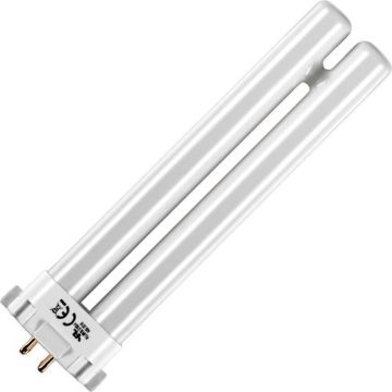 SPL | Lampe fluorescente compacte | G10q4 | T6 | 8W | Lampe UV pour insectes | 15cm
