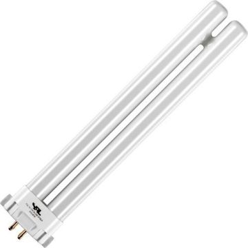 SPL | Lampe fluorescente compacte | Raccord G10q4 | T6 | 15W | Lampe UV pour insectes | 20cm