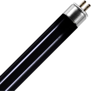 SPL | Tube fluorescent | G5 | T5 | 8W | UV bleu | 29cm