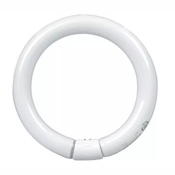 Tube fluorescent blanc chaud 30 Watt, T9 G10q Base 1 Pack