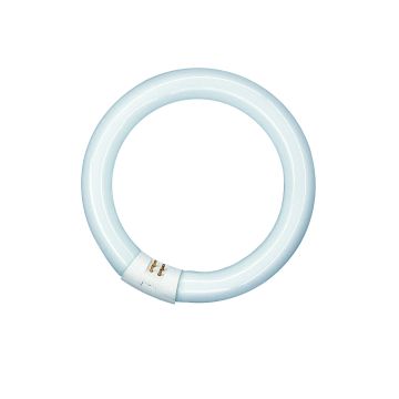 T9 Circline | 32W | G10Q | 830 Blanc chaud