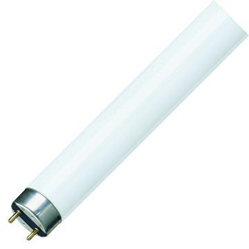 PHILIPS | Tube Fluorescent G13 | 18W