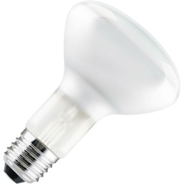 Ampoule à Incandescence Réflecteur | E27 | 100W Dépolie