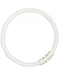 Tube Fluorescent Ronde | T5 22W 830 225mm