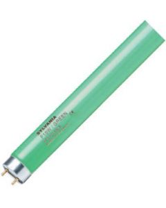 Sylvania | Tube Fluorescent | T8 G13| 36W 1200mm Vert