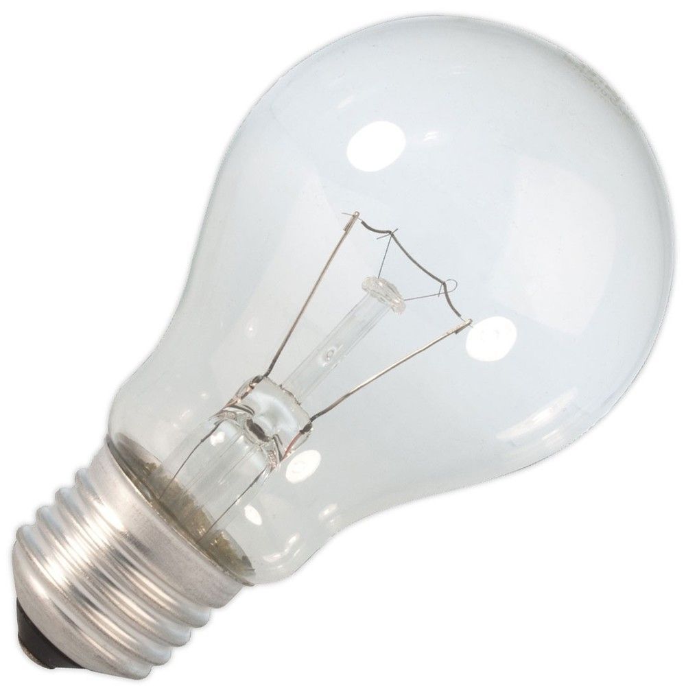 Ampoule pour FOUR E27 60W - Calex