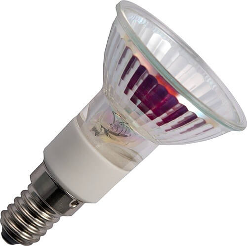 Halogène hi-spot 50 230V 40W E14