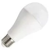 Bailey | Lampe LED | Grand modèle E27 | Lampe standard | 60mm | 15W