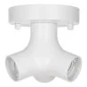 Bailey | Plafonnier/murale | LED interchangeable | 60W Non-dimmable