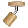 Bailey | Plafonnier/murale | LED interchangeable | 60W Non-dimmable